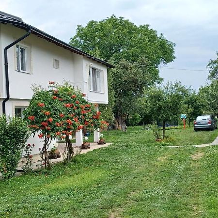Casa Pandrea Cartisoara Exterior foto