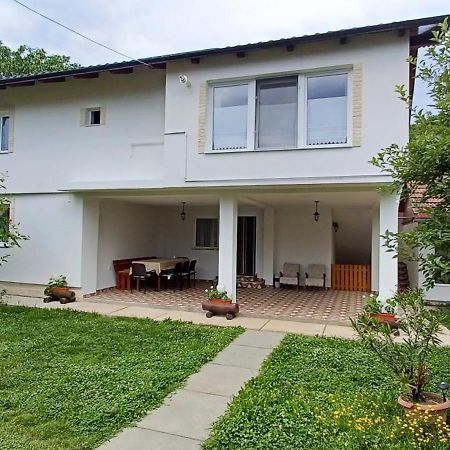 Casa Pandrea Cartisoara Exterior foto