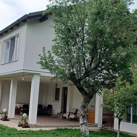 Casa Pandrea Cartisoara Exterior foto
