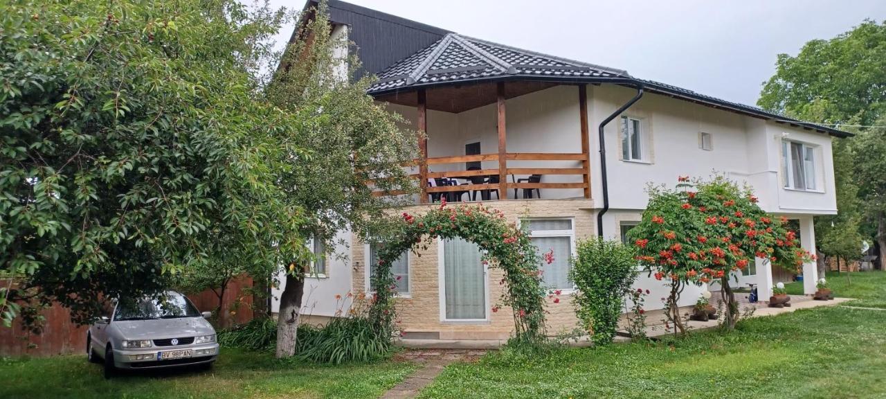 Casa Pandrea Cartisoara Exterior foto