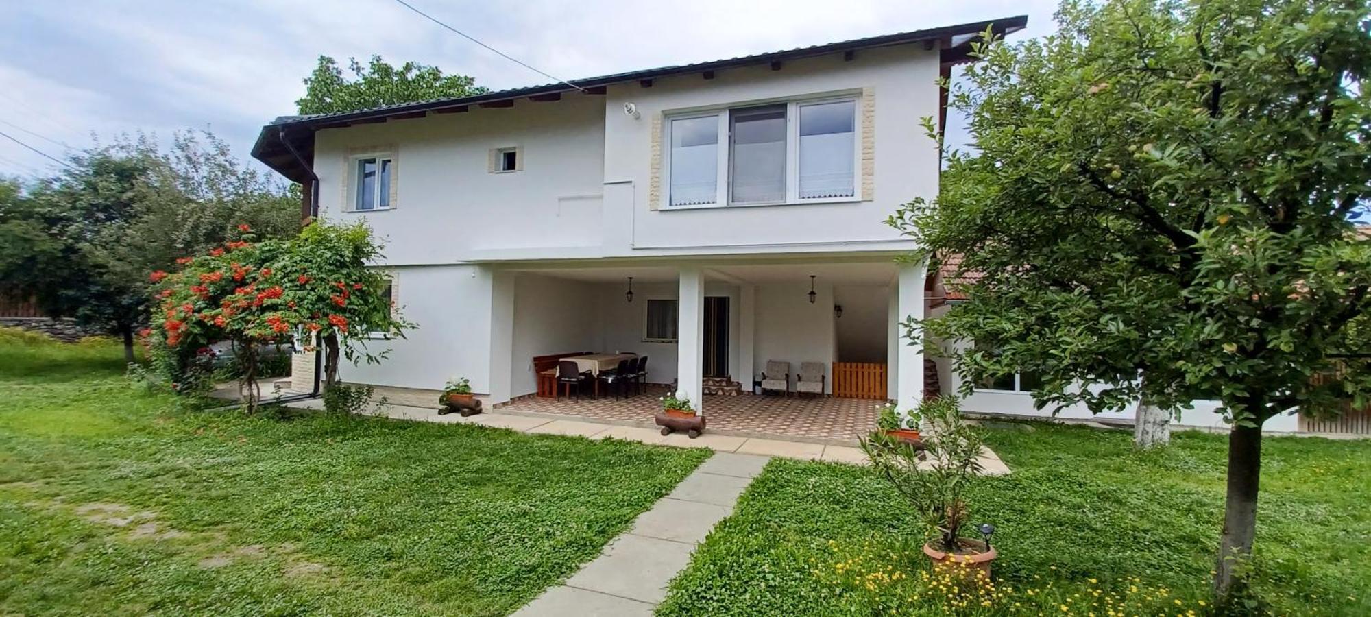 Casa Pandrea Cartisoara Exterior foto