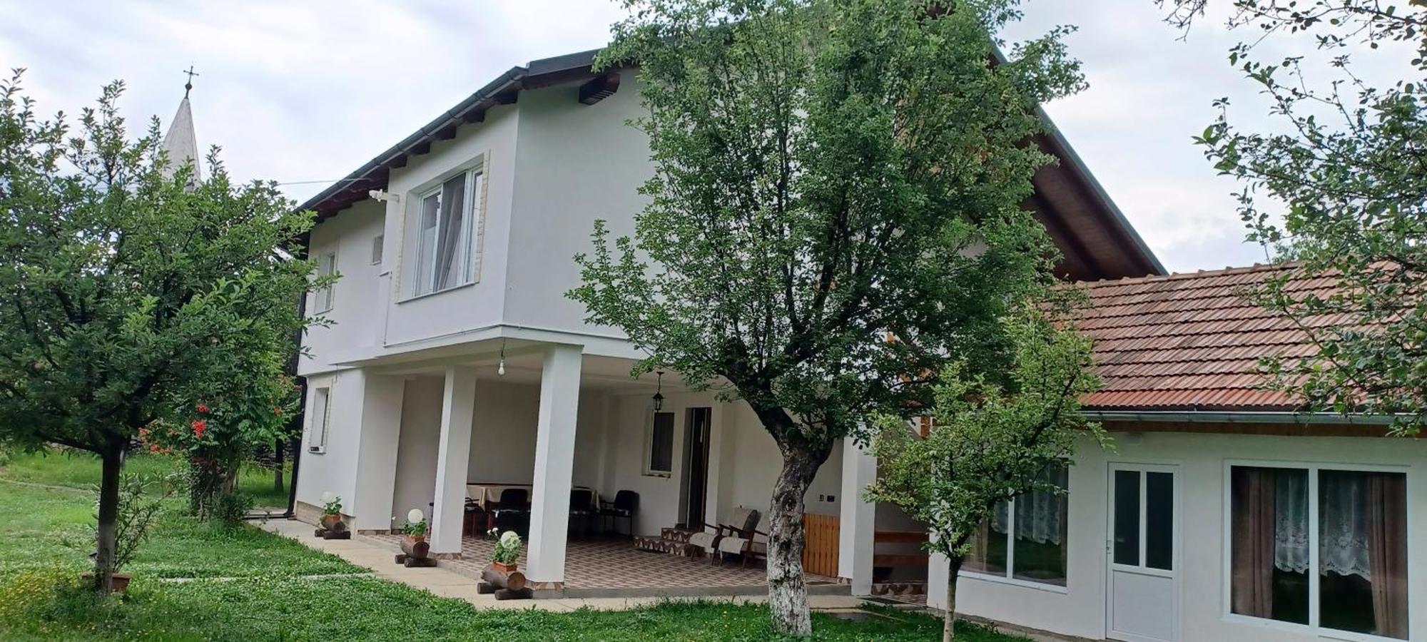 Casa Pandrea Cartisoara Exterior foto